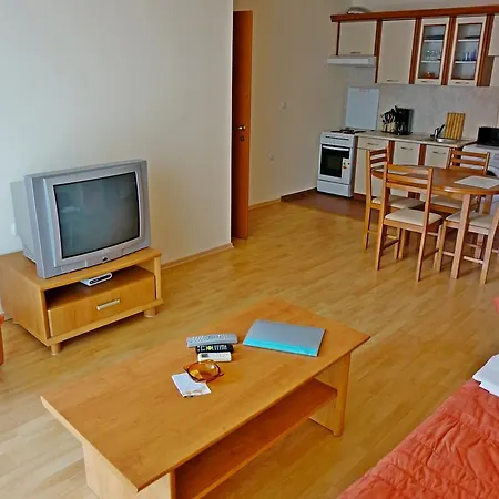 Gt Privilege אלניטה