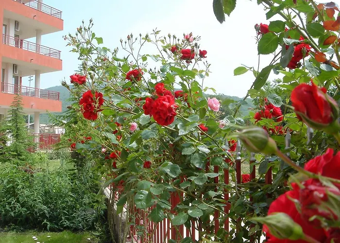 Gt Privilege Apartament *