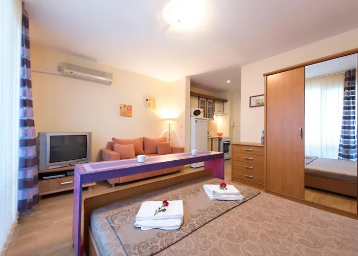 Gt Privilege * Elenite